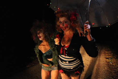 And the birds fell from the sky